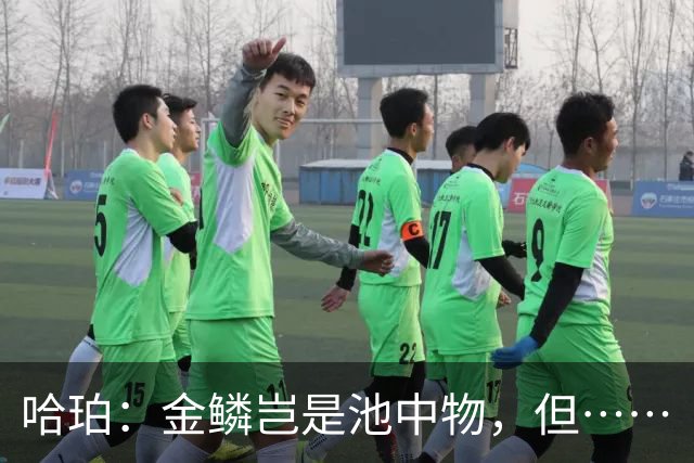 哈珀：金鳞岂是池中物，但……
